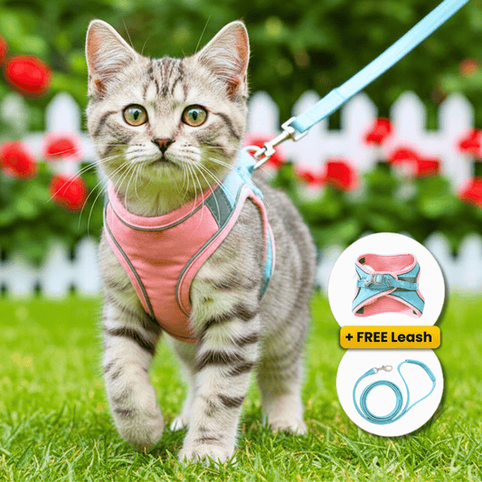 Cat Harness & Leash